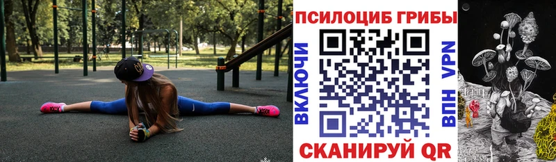 купить наркотики цена  Петровск-Забайкальский  Псилоцибиновые грибы Psilocybe 