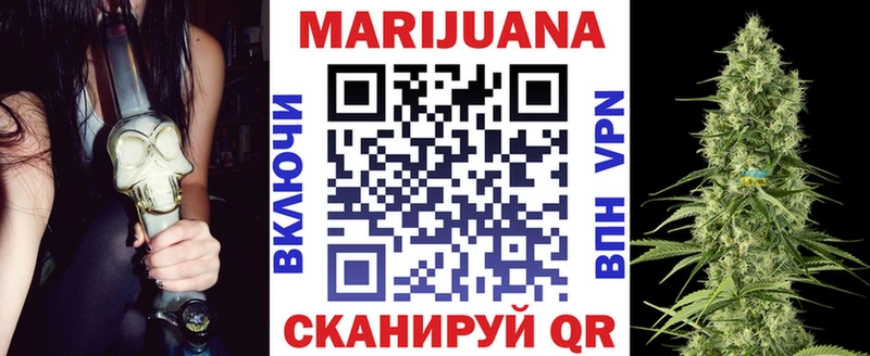 где найти наркотики  omg зеркало  Конопля THC 21%  Петровск-Забайкальский 